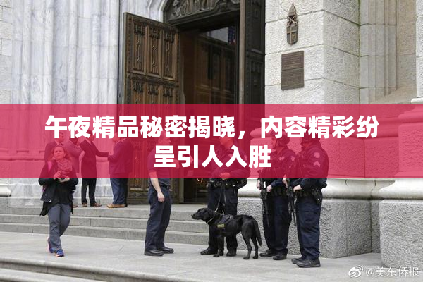 午夜精品秘密揭晓，内容精彩纷呈引人入胜