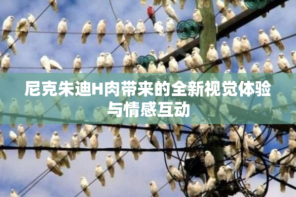 尼克朱迪H肉带来的全新视觉体验与情感互动
