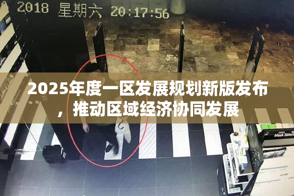 2025年度一区发展规划新版发布，推动区域经济协同发展