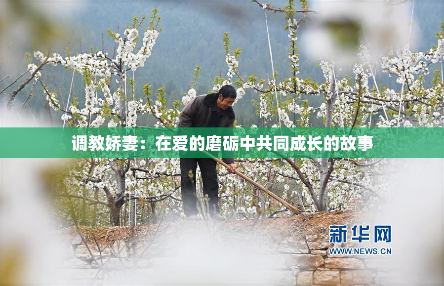 调教娇妻：在爱的磨砺中共同成长的故事