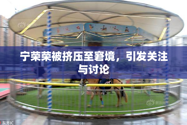 宁荣荣被挤压至窘境，引发关注与讨论