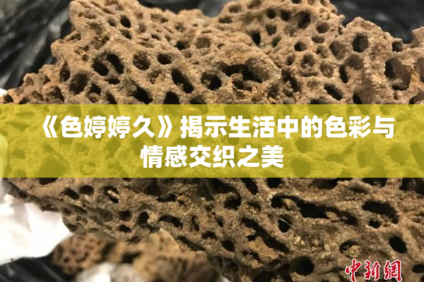 《色婷婷久》揭示生活中的色彩与情感交织之美