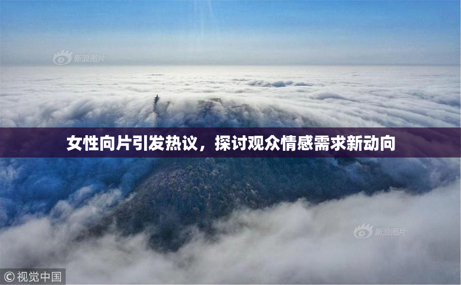女性向片引发热议，探讨观众情感需求新动向