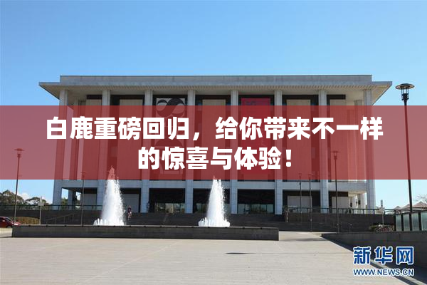 白鹿重磅回归，给你带来不一样的惊喜与体验！