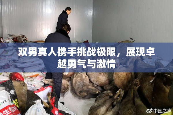 双男真人携手挑战极限，展现卓越勇气与激情