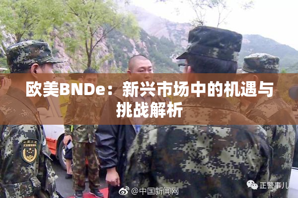 欧美BNDe：新兴市场中的机遇与挑战解析