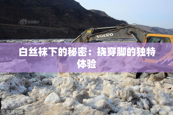 白丝袜下的秘密：挠穿脚的独特体验