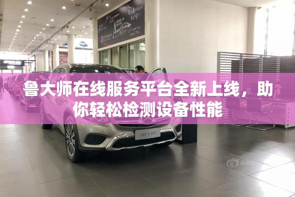 鲁大师在线服务平台全新上线，助你轻松检测设备性能
