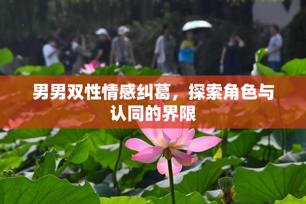 男男双性情感纠葛，探索角色与认同的界限