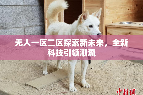 无人一区二区探索新未来，全新科技引领潮流