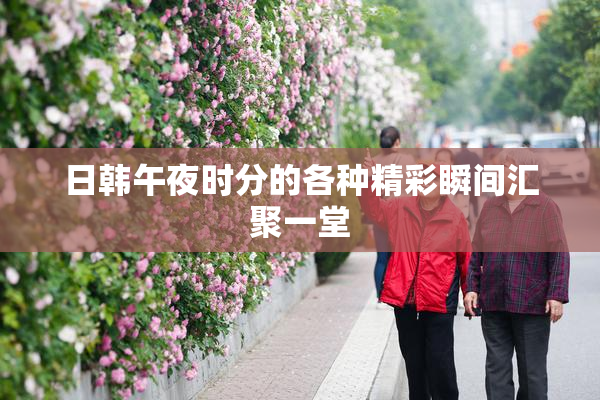 日韩午夜时分的各种精彩瞬间汇聚一堂