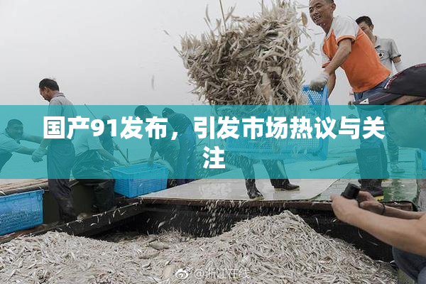 国产91发布，引发市场热议与关注