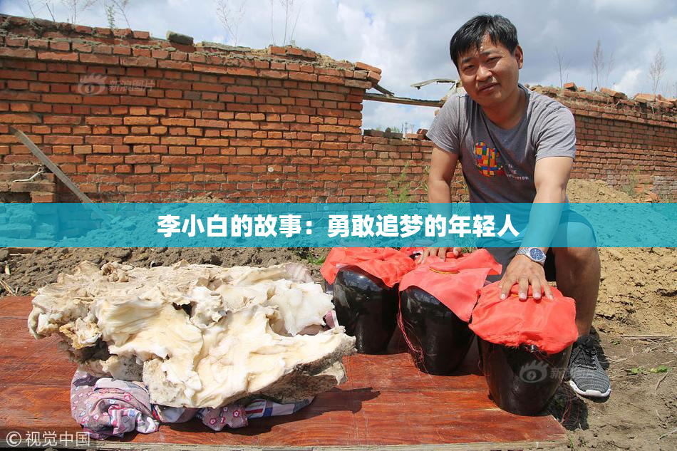 李小白的故事：勇敢追梦的年轻人