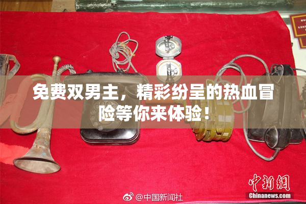 免费双男主，精彩纷呈的热血冒险等你来体验！
