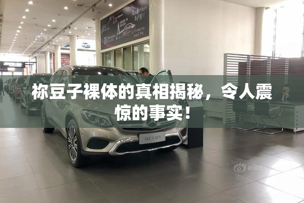 祢豆子裸体的真相揭秘，令人震惊的事实！
