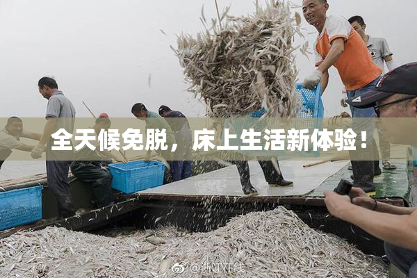 全天候免脱，床上生活新体验！