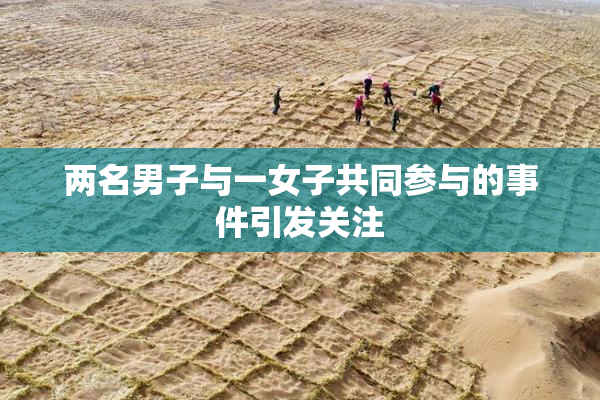 两名男子与一女子共同参与的事件引发关注