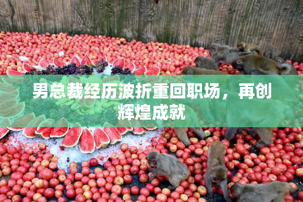 男总裁经历波折重回职场，再创辉煌成就
