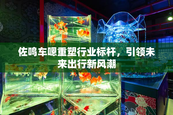 佐鸣车嗯重塑行业标杆，引领未来出行新风潮