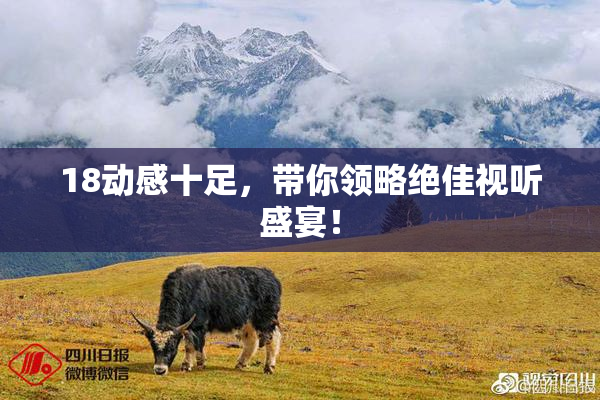 18动感十足，带你领略绝佳视听盛宴！