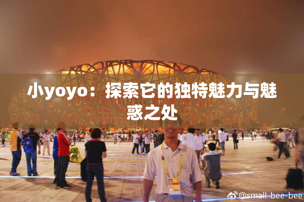 小yoyo：探索它的独特魅力与魅惑之处