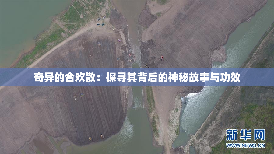奇异的合欢散：探寻其背后的神秘故事与功效