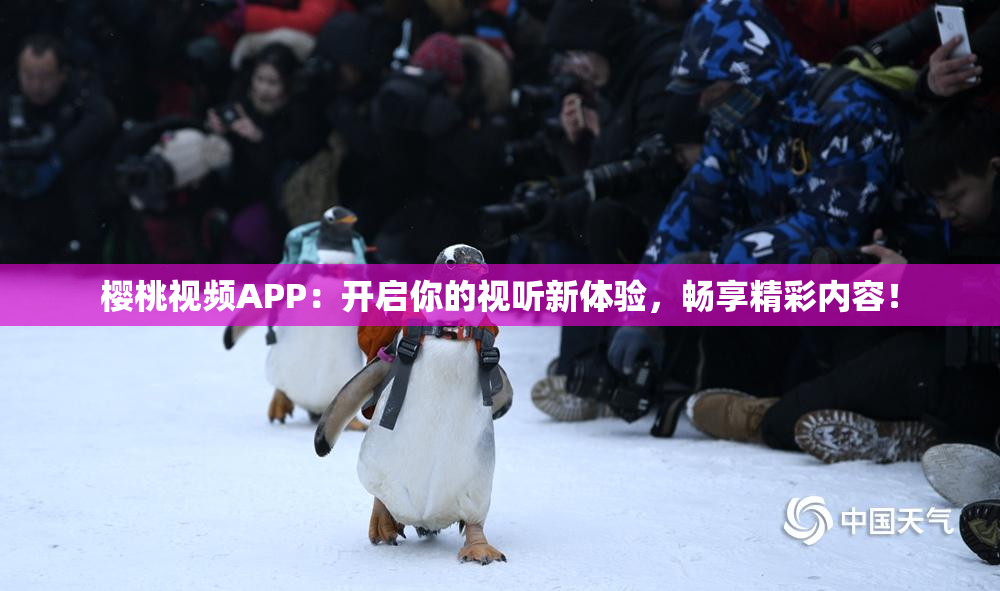 樱桃视频APP：开启你的视听新体验，畅享精彩内容！