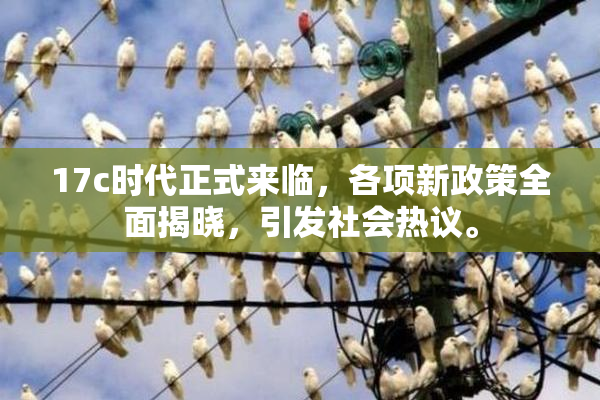 17c时代正式来临，各项新政策全面揭晓，引发社会热议。