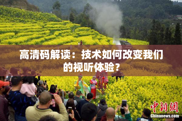 高清码解读：技术如何改变我们的视听体验？