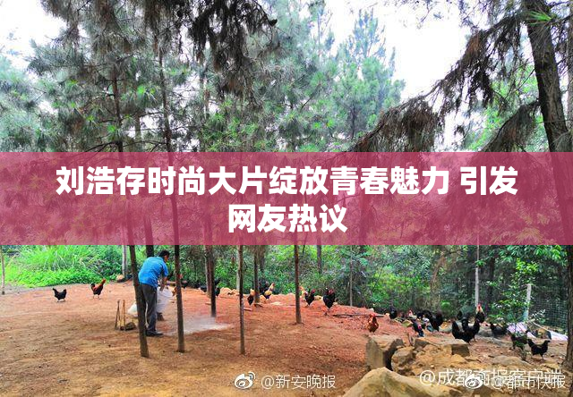 刘浩存时尚大片绽放青春魅力 引发网友热议