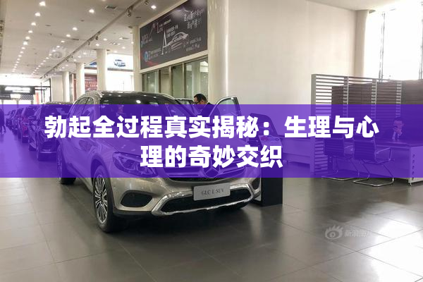 勃起全过程真实揭秘：生理与心理的奇妙交织