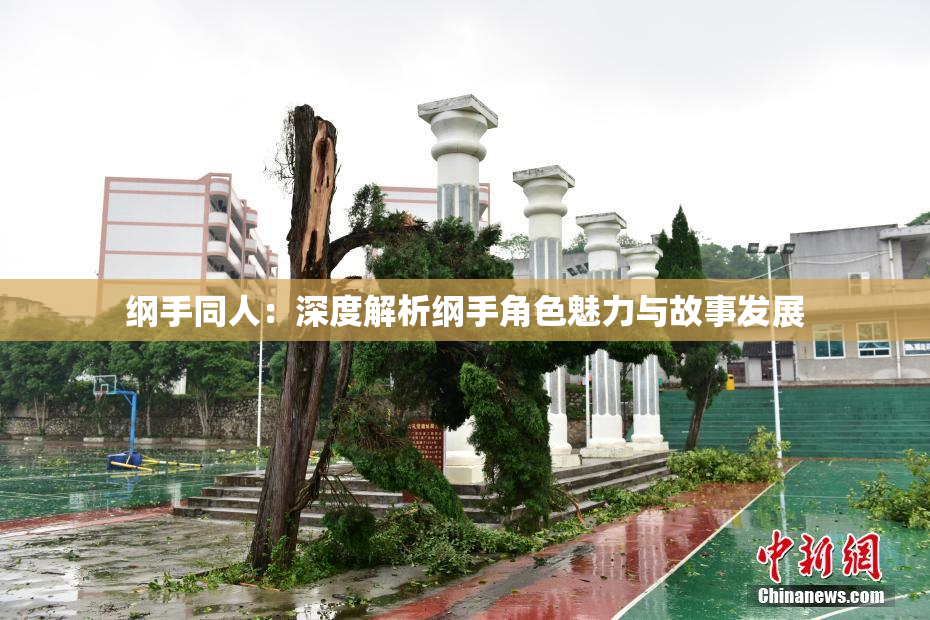 纲手同人：深度解析纲手角色魅力与故事发展