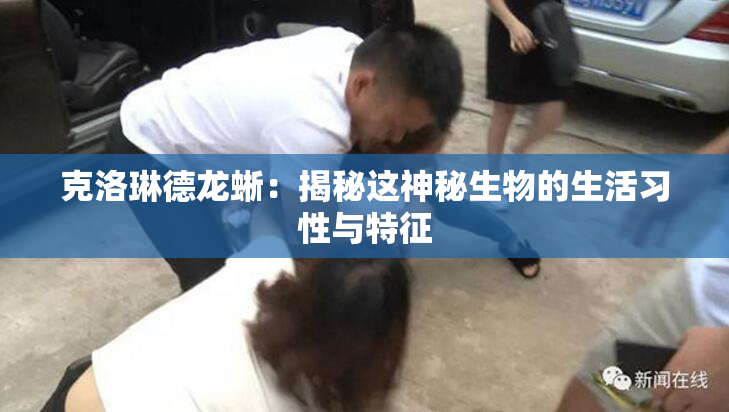克洛琳德龙蜥：揭秘这神秘生物的生活习性与特征