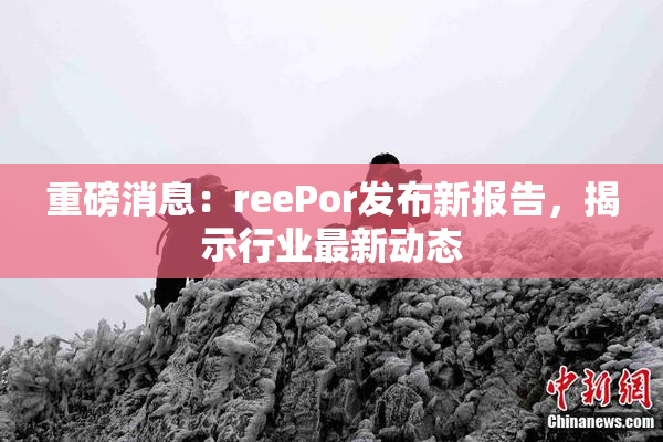 重磅消息：reePor发布新报告，揭示行业最新动态