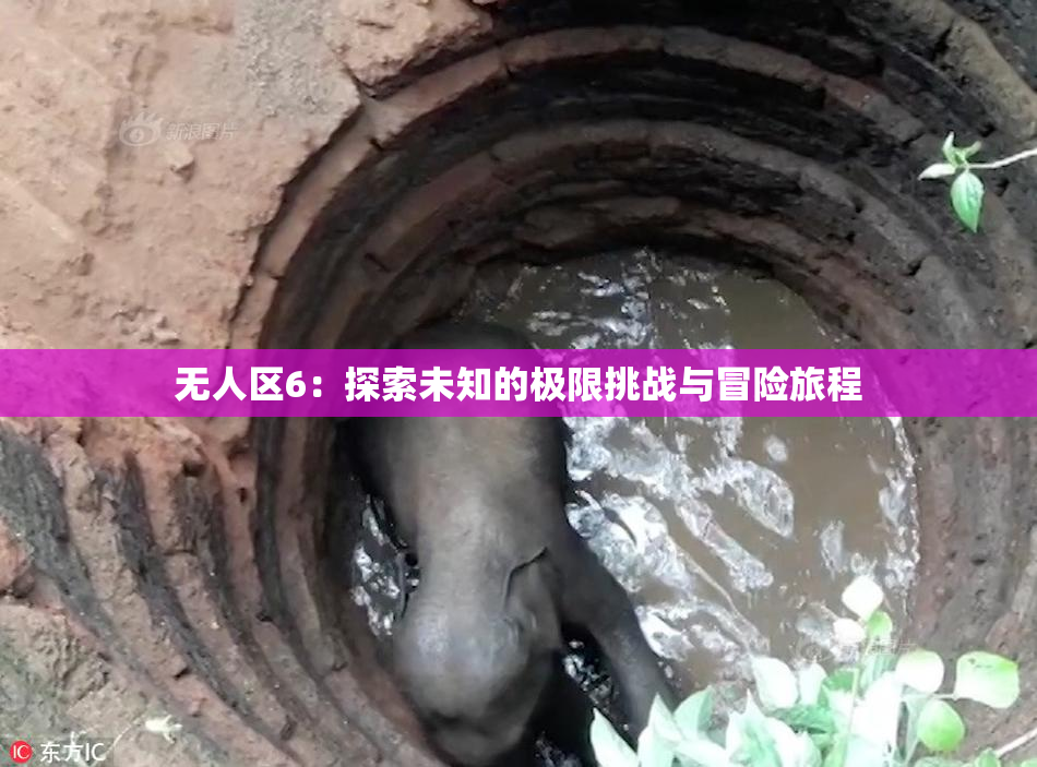 无人区6：探索未知的极限挑战与冒险旅程