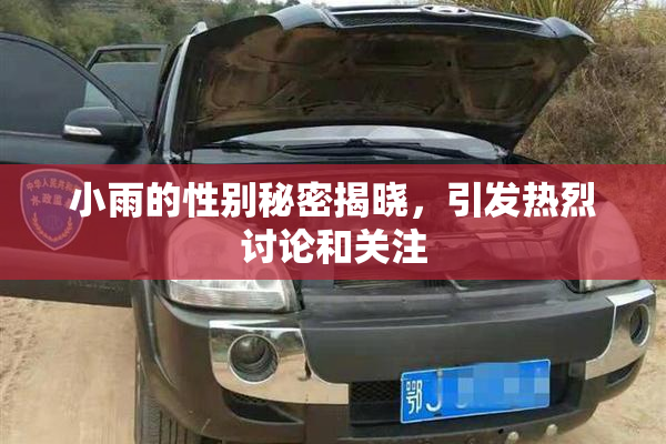 小雨的性别秘密揭晓，引发热烈讨论和关注