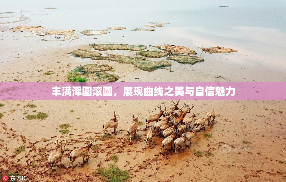 丰满浑圆滚圆，展现曲线之美与自信魅力