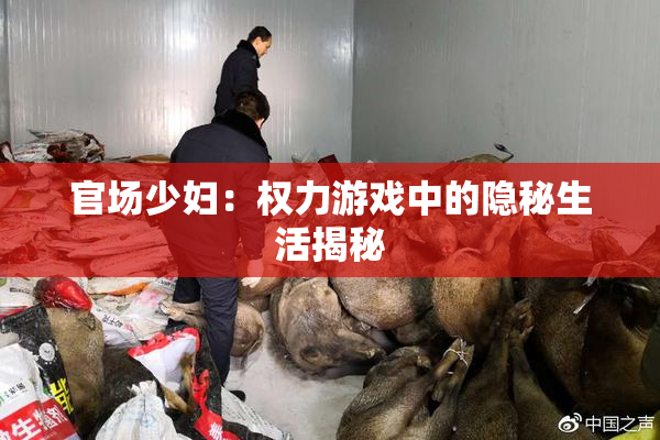 官场少妇：权力游戏中的隐秘生活揭秘