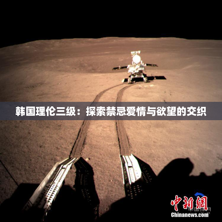 韩国理伦三级：探索禁忌爱情与欲望的交织