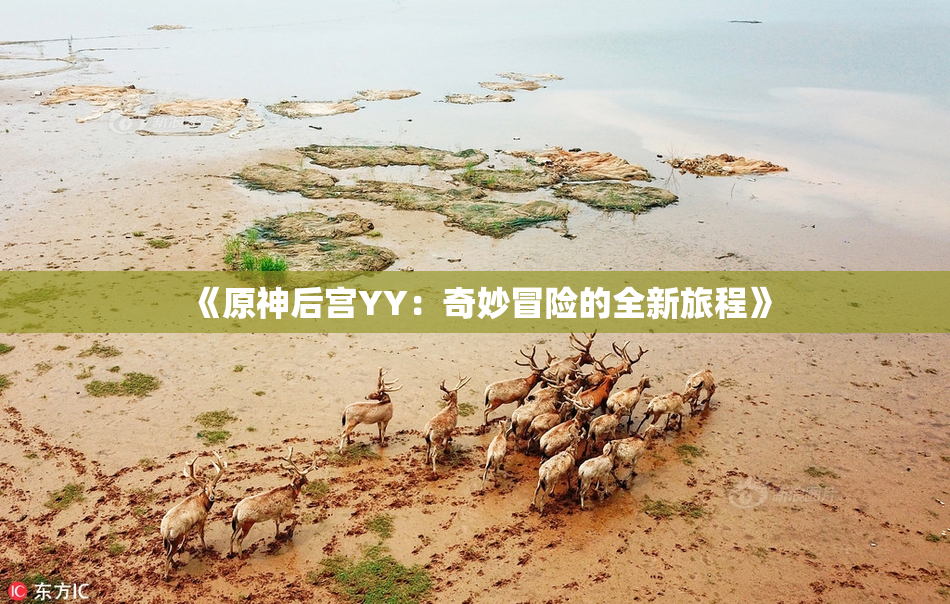 《原神后宫YY：奇妙冒险的全新旅程》