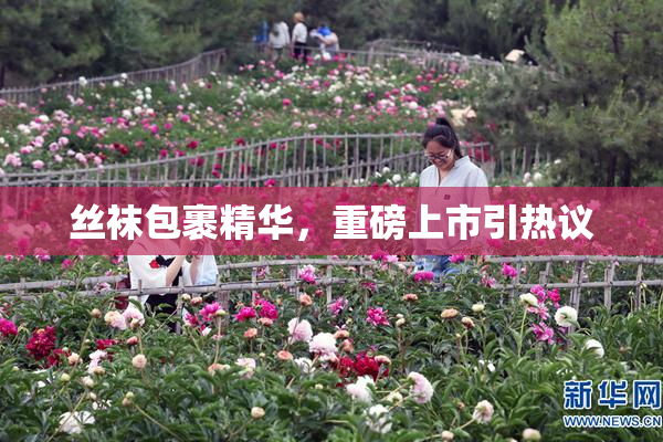 丝袜包裹精华，重磅上市引热议