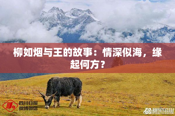 柳如烟与王的故事：情深似海，缘起何方？