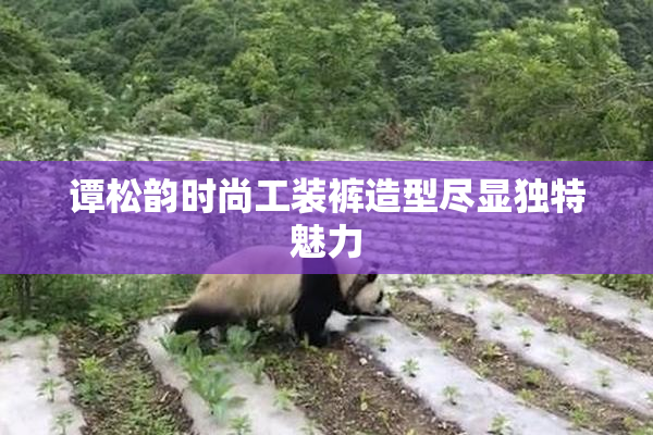 谭松韵时尚工装裤造型尽显独特魅力