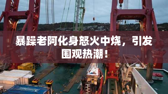 暴躁老阿化身怒火中烧，引发围观热潮！