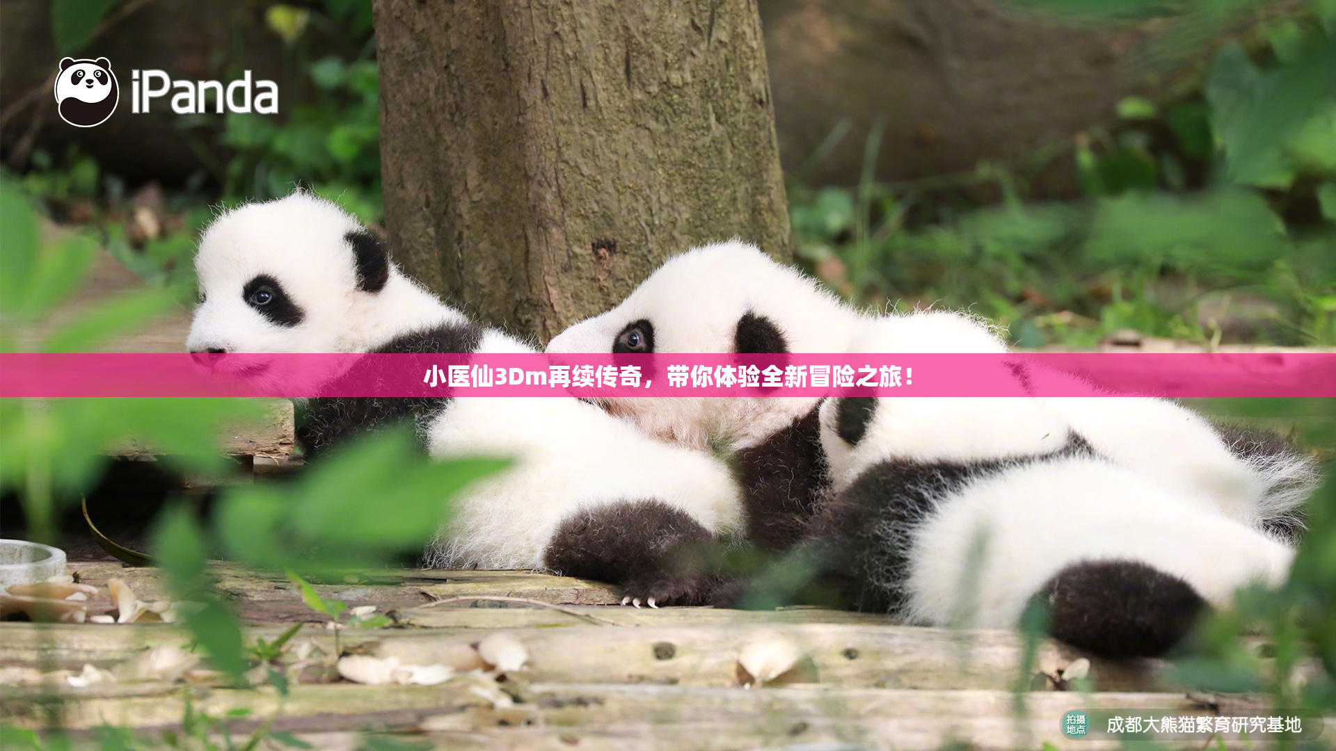 小医仙3Dm再续传奇，带你体验全新冒险之旅！