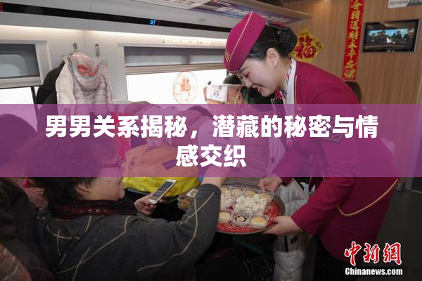 男男关系揭秘，潜藏的秘密与情感交织