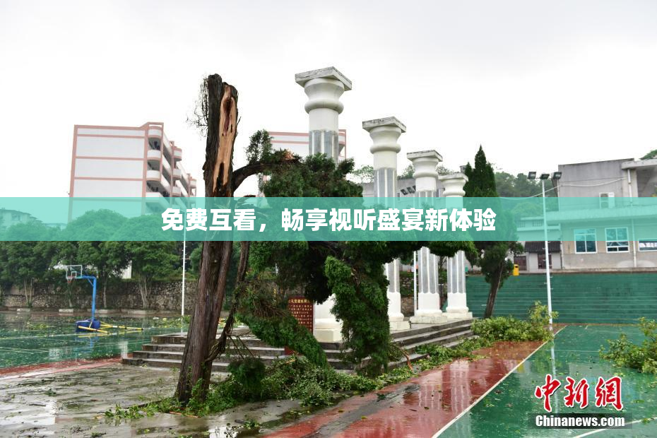 免费互看，畅享视听盛宴新体验