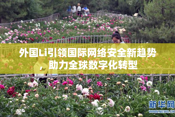 外国Li引领国际网络安全新趋势，助力全球数字化转型