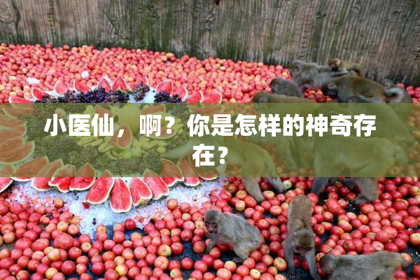 小医仙，啊？你是怎样的神奇存在？