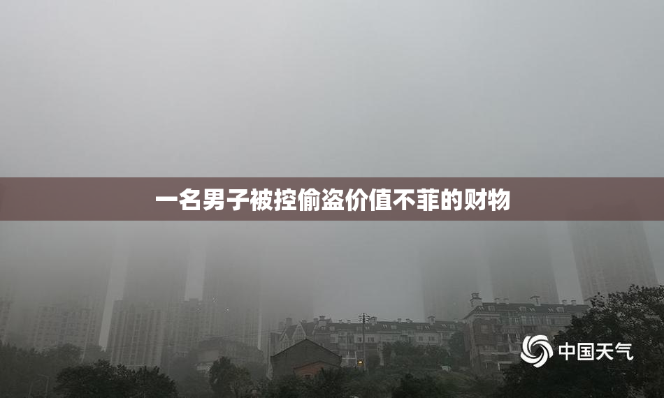 一名男子被控偷盗价值不菲的财物